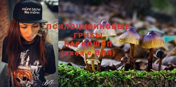 каннабис Беломорск